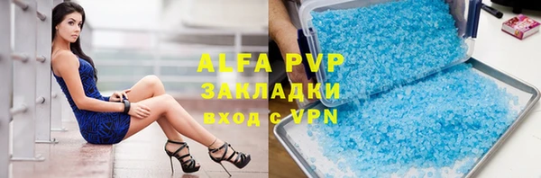 гашик Новозыбков
