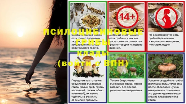 твердый Новокубанск