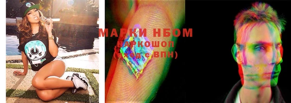 гашик Новозыбков