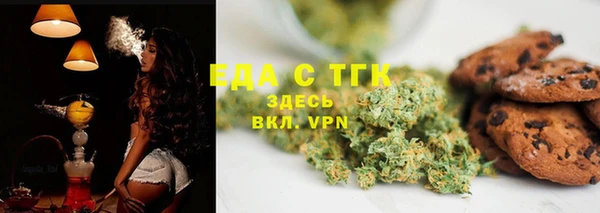 гашик Новозыбков