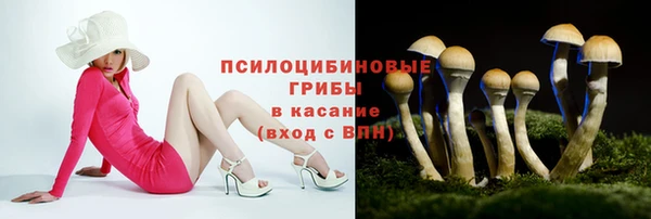 твердый Новокубанск