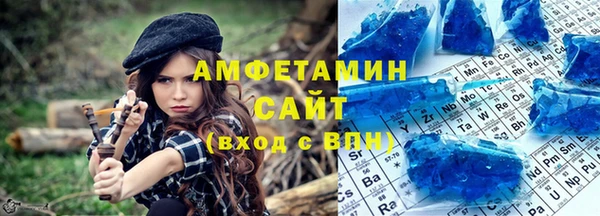 гашик Новозыбков