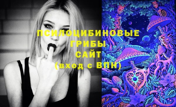 твердый Новокубанск
