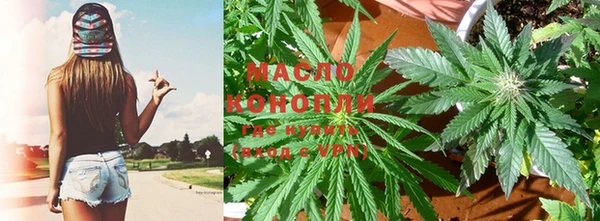 гашик Новозыбков