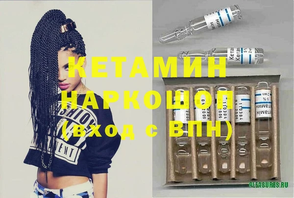 гашик Новозыбков