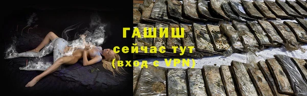 гашик Новозыбков