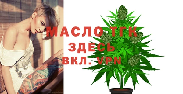 гашик Новозыбков